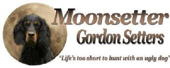 Moonsetter web logo